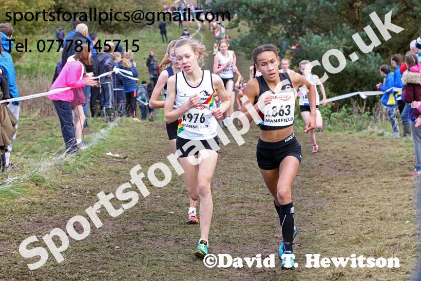 Girls under-15s National Cross Country Relay, Berry Hill Park, Mansfield. Photo:  David T. Hewitson/Sports for All Pics